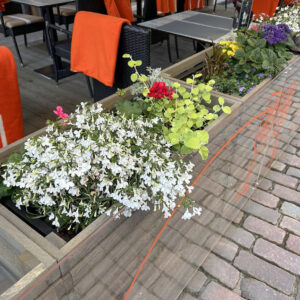 outdoor cafe wooden flower boxes